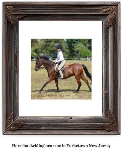 horseback riding near me in Yorketown, New Jersey